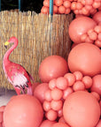 Kóral (Coral) blaðra 28cm