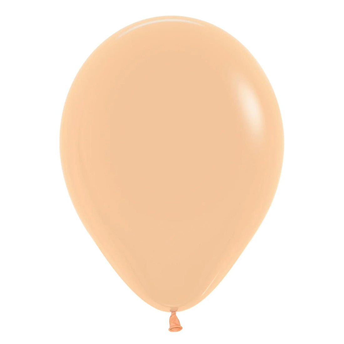 Ferskjulituð Blush blaðra  28cm