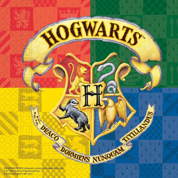 Harry Potter servíettur 20 stk