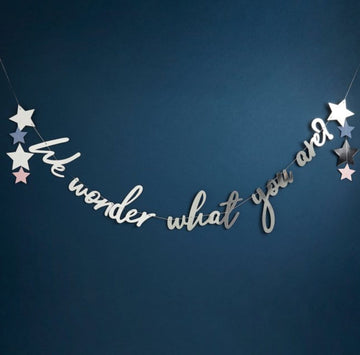 “ We wonder what you are” Fánalengja - 2m