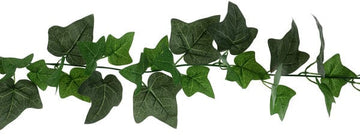 Ivy gerviblómalengja- 2m